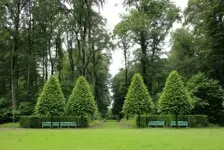 Trabajos de tala y poda de árboles Madrid