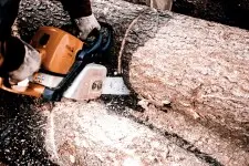 Trabajos de tala y poda de árboles Madrid